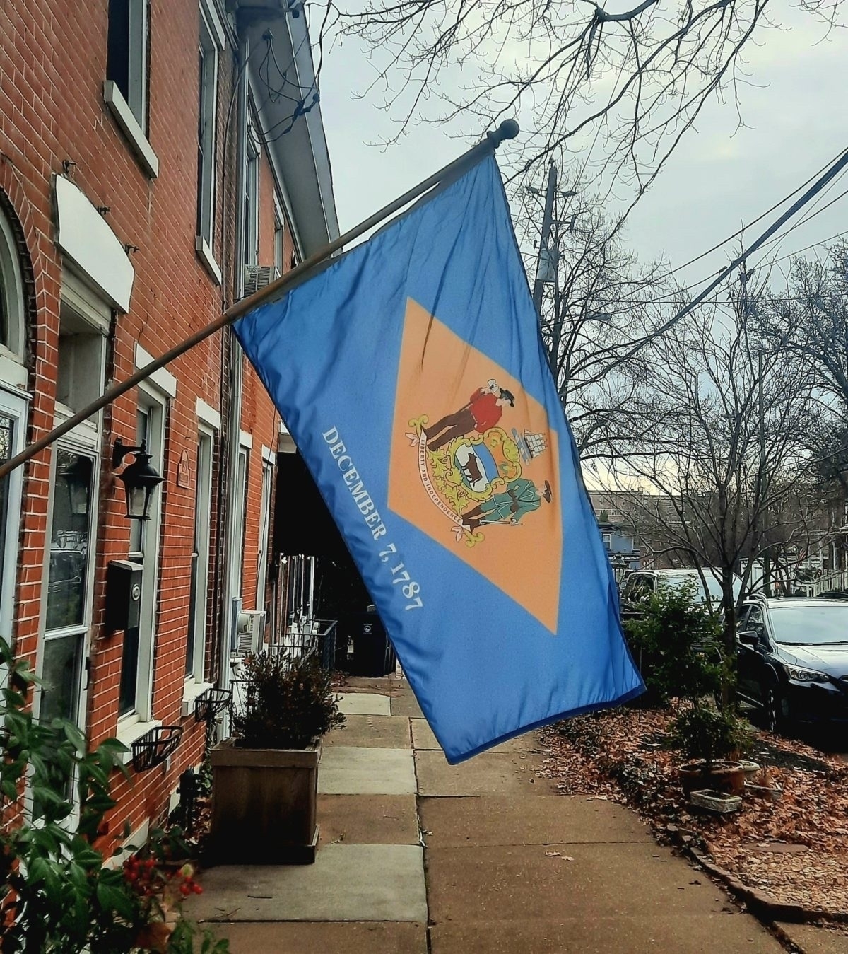 The flag of the first state flies in Wilmington's Forty Acres neighborhood | R.E. Vanella